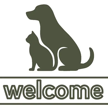 Bed Bentheim Bad Bentheim